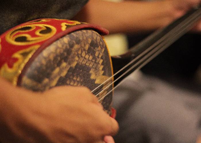  Night Entertainment & Live Music